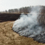 Первые лесные пожары ликвидированы в Челябинской области - Варненский район