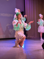 Варненцы отметили День народного единства концертом и благотворительной акцией