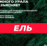 Полиция предупреждает: незаконная рубка хвойных деревьев влечёт ответственность - Варненский район