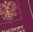 Южноуральцам посоветовали срочно проверить загранпаспорта: из-за технических сбоев возможны ошибки - Советское село